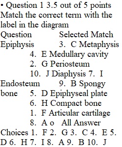 Quiz 2